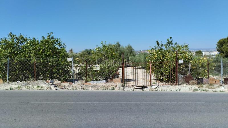 Foto ad8cb339-de65-4bb9-82bd-f42b0e2ad18b. Fondo rustico in Centro Molina de Segura