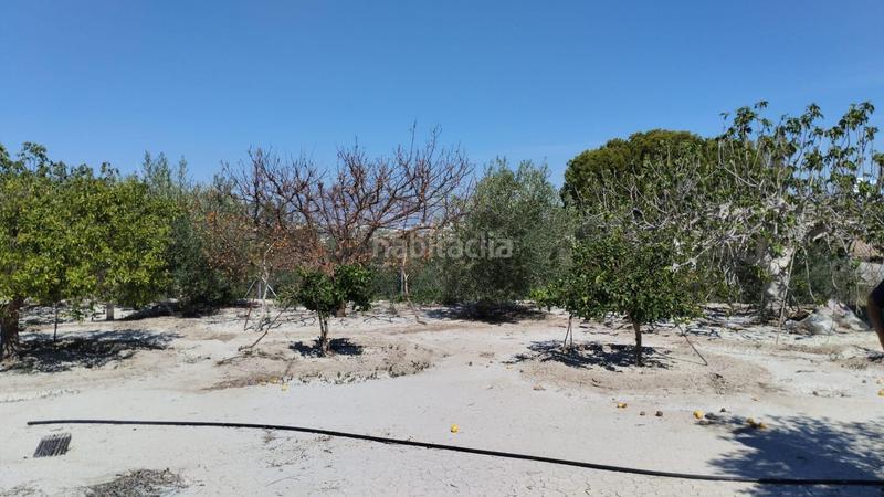 Foto ca48d2ea-02be-4c4a-a72c-545fef10f29b. Fondo rustico in Centro Molina de Segura