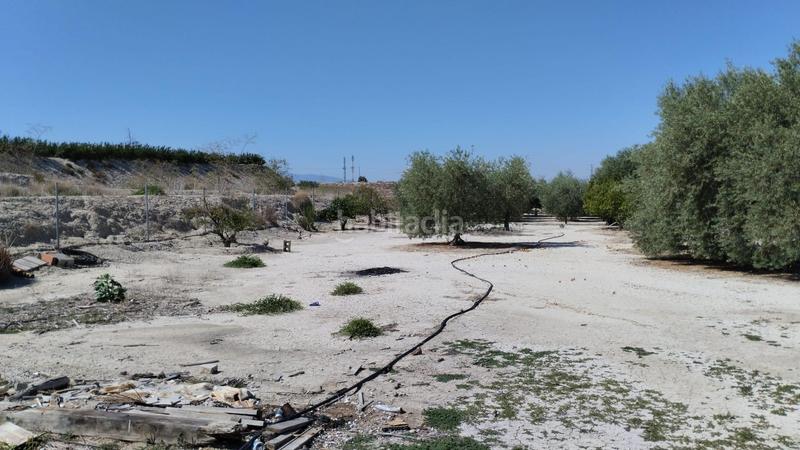 Foto cec6380e-b6c1-4006-a97d-71d0ce670d44. Fondo rustico in Centro Molina de Segura