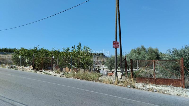 Foto d624cb7d-e517-4c75-b2dd-871cd097d657. Fondo rustico in Centro Molina de Segura