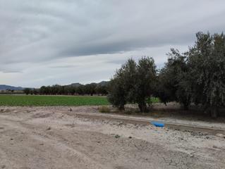 Propriété à San Mateo. Terreno de regadío  la hoya, lorca