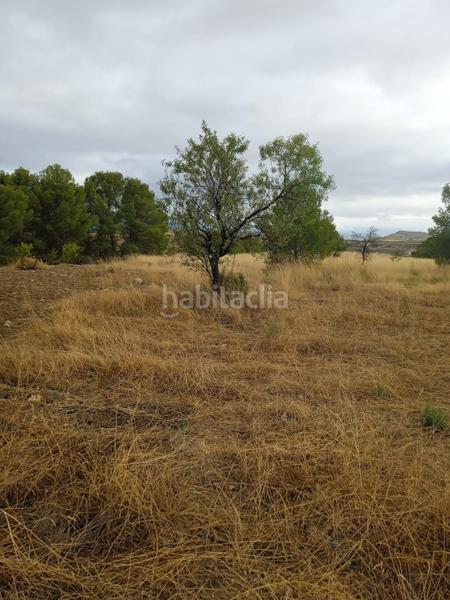 Foto 4190d68b-01dc-419d-bf11-a66aed2efd07. Terreno residencial parcela en venta en los jarales, en Lorca
