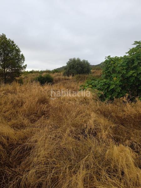 Foto 87b6fa86-7cb6-4daf-b86e-e2fbc335bcb6. Terreno residencial parcela en venta en los jarales, en Lorca
