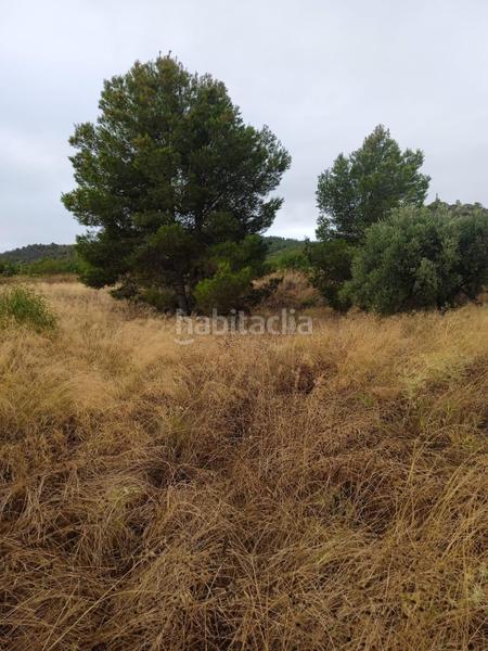 Foto b14ddd97-52b9-46f7-b90a-e2a299529d93. Terreno residencial parcela en venta en los jarales, en Lorca