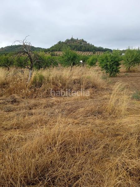 Foto c42b378f-11aa-45f0-a3fd-02c7db5a5150. Terreno residencial parcela en venta en los jarales, en Lorca