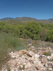 Fondo rustico in Totana. Parcela en venta en mortí, totana