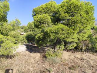Propriété à Totana. Parcela en venta en mortí, totana