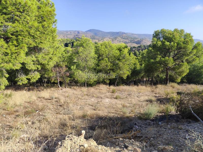 Foto 6dd89986-0ade-41d3-b9ae-bec06487d3ad. Finca rústica parcela en venta en mortí, en Totana