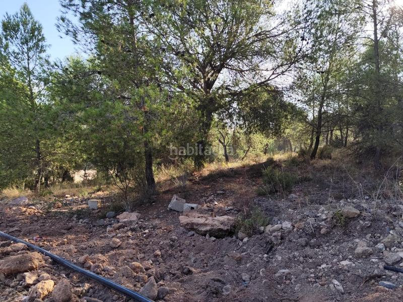 Foto 8011cf27-0e42-41bb-9879-3a34abb65a15. Finca rústica parcela en venta en mortí, en Totana