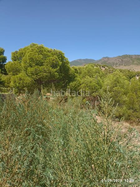 Foto 824ee4f1-d2b3-4ee1-b0bc-dbca491d3b69. Finca rústica parcela en venta en mortí, en Totana