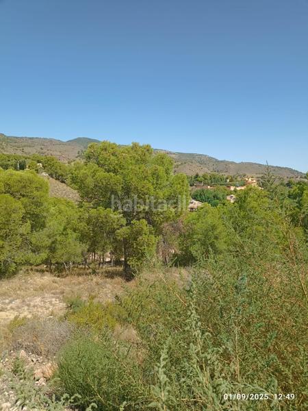 Foto f7c994df-191c-4a03-855b-475f671a838a. Finca rústica parcela en venta en mortí, en Totana
