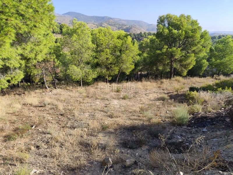 Foto f853eebc-d512-432f-8f46-a929282ad80a. Finca rústica parcela en venta en mortí, en Totana