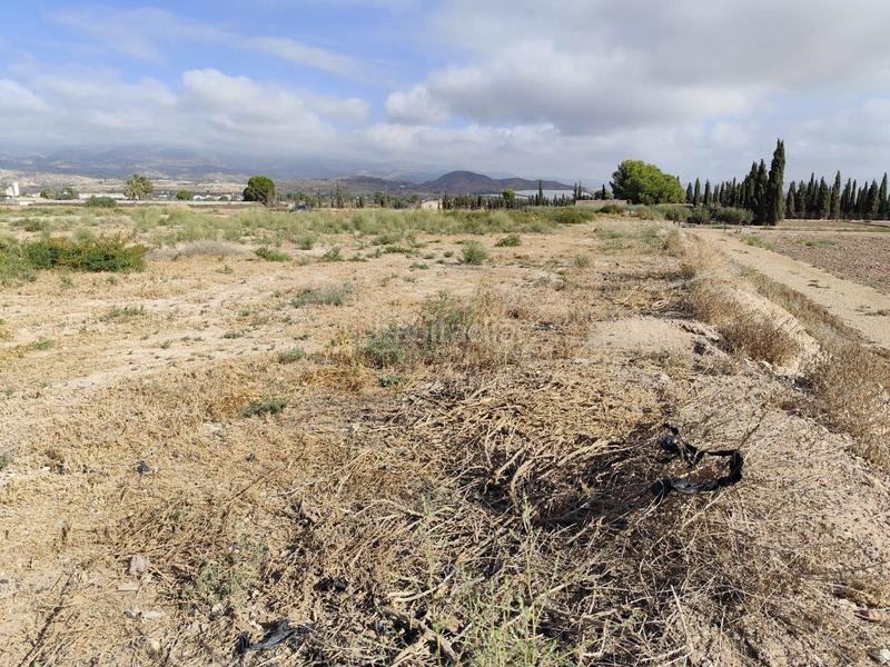 Foto 1b646675-8d1d-4367-821a-bc3b286a5918. Rural plot in Totana
