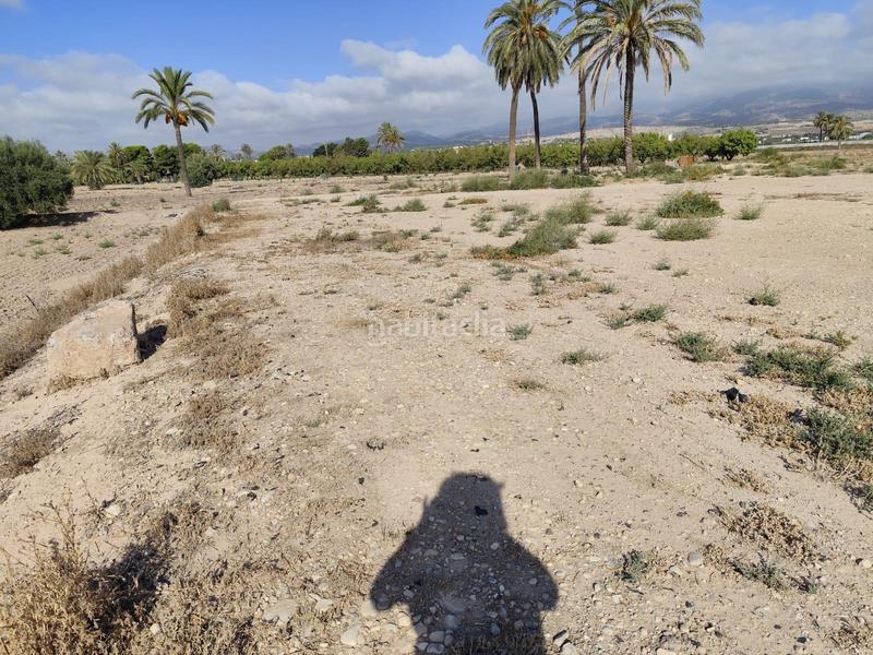 Foto 75f41f28-fcbd-4b12-b1fd-a339d206d85d. Rural plot in Totana