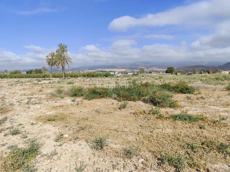 Foto a8600614-445c-43d1-b678-346265507df3. Rural plot in Totana