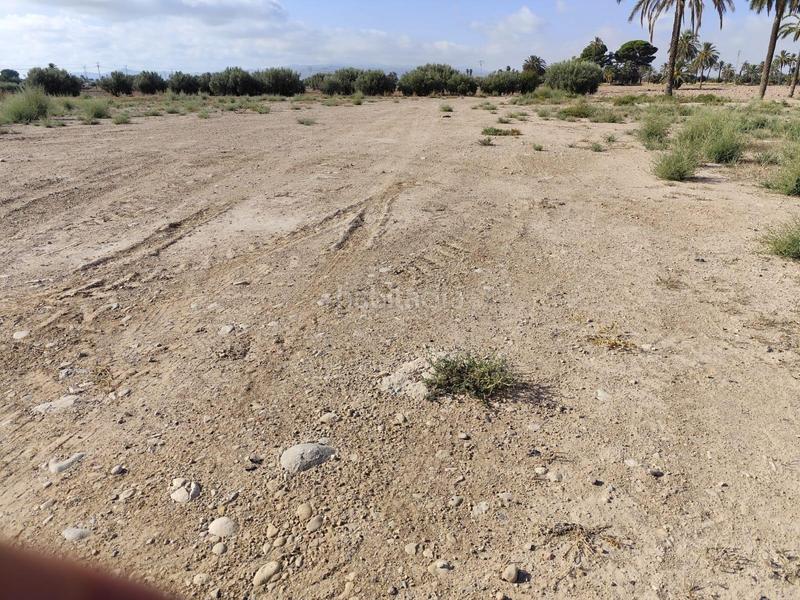 Foto c47a5f20-0a43-4b7f-9004-e9ea8f8264ee. Rural plot in Totana
