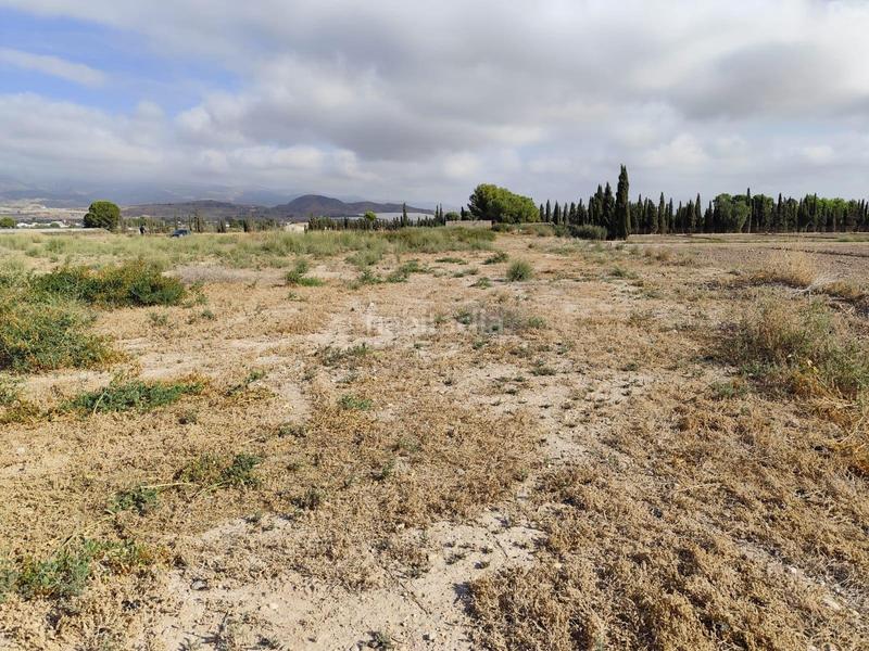 Foto df179582-456e-4374-9bf5-407f57d06407. Rural plot in Totana