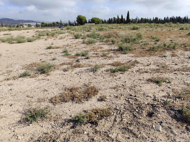 Foto fbde66fe-c6e1-43d9-bfc1-d91b9a0f9785. Rural plot in Totana