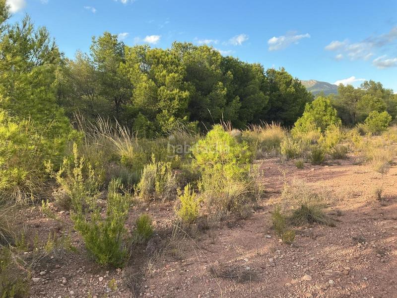 Foto 09c065a2-63e5-489a-b040-2bb1285e5e19. Wohngrundstück in Totana