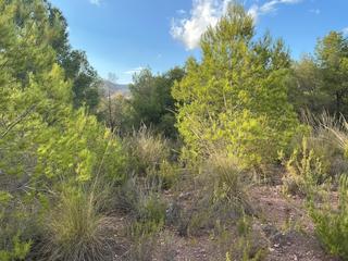 Terreny residencial a Totana. Parcela en venta en aledo