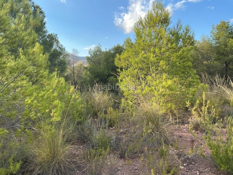 Foto 2b1e4c2f-3362-4153-80f0-50f03fb28aad. Wohngrundstück in Totana