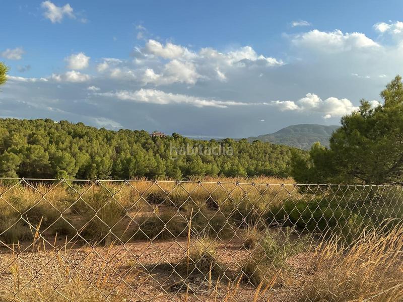 Foto 307eaa99-d260-4bf9-a3b0-dc52ceb6efd5. Wohngrundstück in Totana