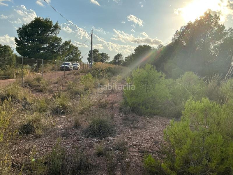 Foto 3f8cf76f-3c06-4231-85a7-b372f4f897d7. Wohngrundstück in Totana