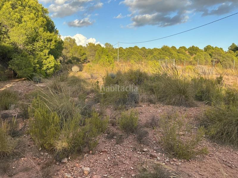 Foto 90fe4bf2-c2cc-4cb9-80bd-040c78f1c569. Wohngrundstück in Totana