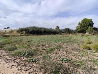 Propriété à Totana. Parcela de 1.956 m  en venta en los huertos nuevos totana