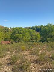 Finca rústica a Totana. Parcela en venta en totana