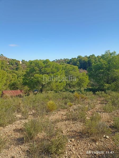 Foto 08a7ec6e-8f4a-4d22-aa2d-1a38d39b17da. Finca rústica parcela en venta en Totana