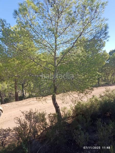 Foto 0cd35c32-51c1-4d27-b0db-598ace365062. Finca rústica parcela en venta en Totana