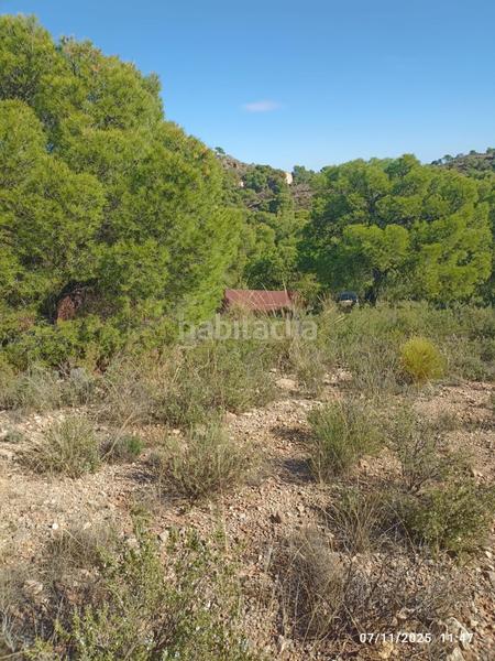 Foto 291ceb69-2c12-4318-a702-5bc8f14e93e1. Finca rústica parcela en venta en Totana