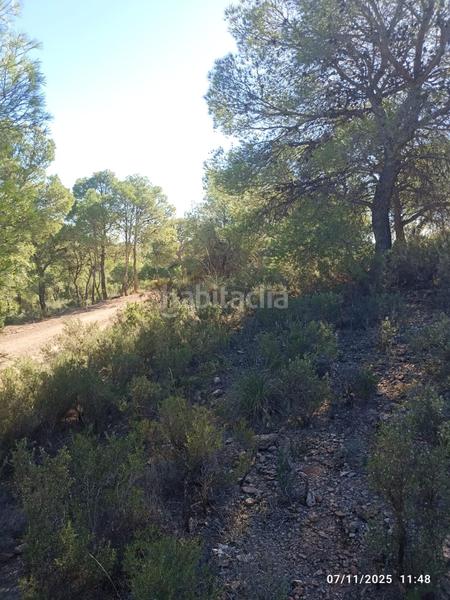 Foto 36bd0c23-936e-4ce8-bc69-373af3044d17. Finca rústica parcela en venta en Totana