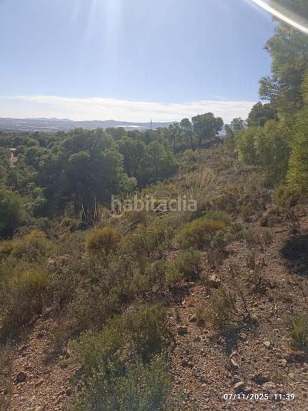 Foto 640f4c92-b8b3-4dba-b7c2-8561d3f8d32d. Finca rústica parcela en venta en Totana