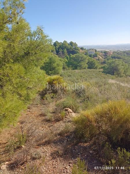 Foto 8f60b623-348d-4c2f-bfb4-1c81a509d90c. Finca rústica parcela en venta en Totana