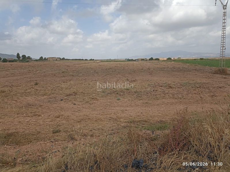 Foto d3aa6611-01e9-4928-877b-d47febddf1a2. Finca rústica a Totana
