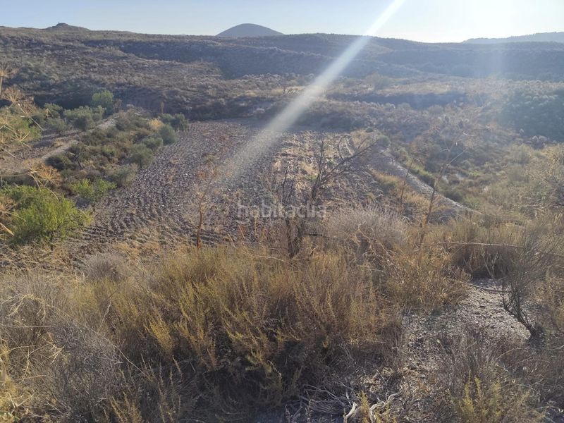 Foto 51831135-7544-441f-870f-51fea7d98323. Finca rústica a Bejar Lorca