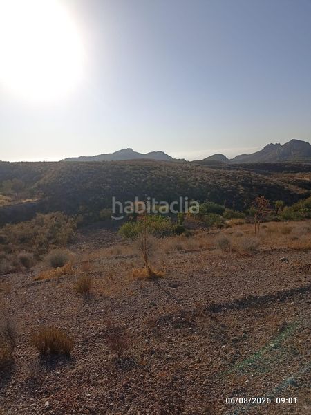 Foto 7145732a-9fb1-4d48-b123-170226c241a5. Finca rústica a Bejar Lorca