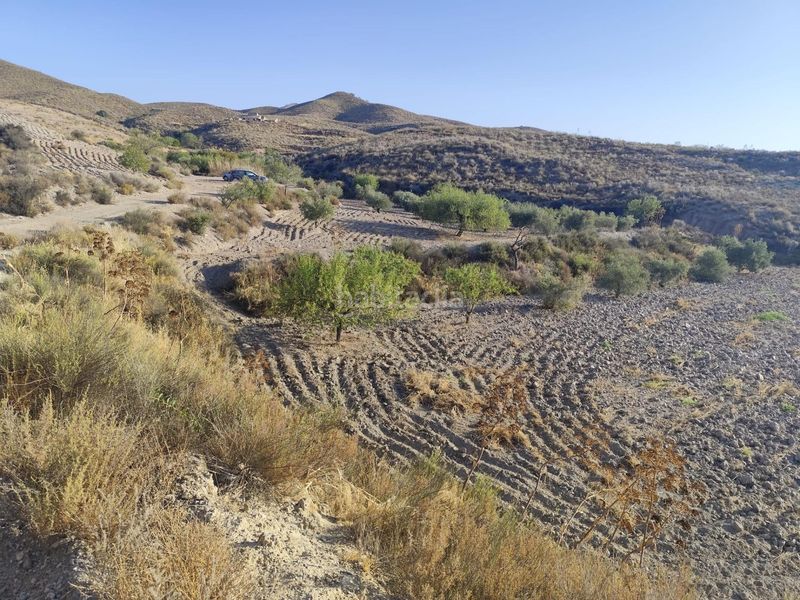 Foto 78650fa0-6dc9-4715-8e3e-8a602827202a. Finca rústica a Bejar Lorca