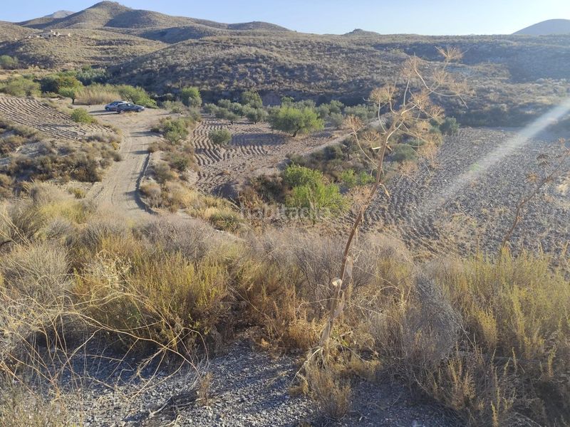Foto aa860748-0f03-4880-a18c-882eafcbc8ab. Finca rústica a Bejar Lorca