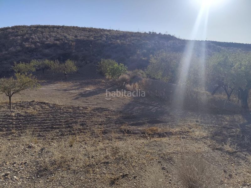 Foto bf9b4006-b32d-49b7-8b9c-89d1c35304d0. Finca rústica a Bejar Lorca