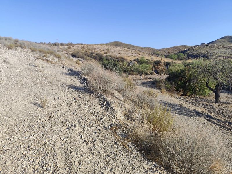 Foto e9a4d598-19d2-4142-b6e8-265654f2d916. Finca rústica a Bejar Lorca