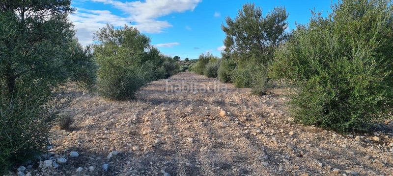 Foto 04dece7c-084e-4e67-befd-1bc428979ede. Rural plot in La Hoya Lorca