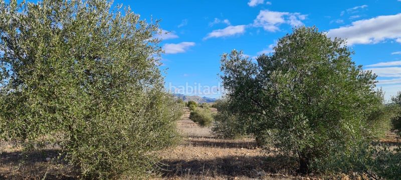Foto 311bd725-400f-475c-a288-b80dc9d11dcd. Rural plot in La Hoya Lorca