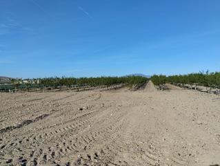 Finca rústica a Totana. Terreno agrario en lebor totana