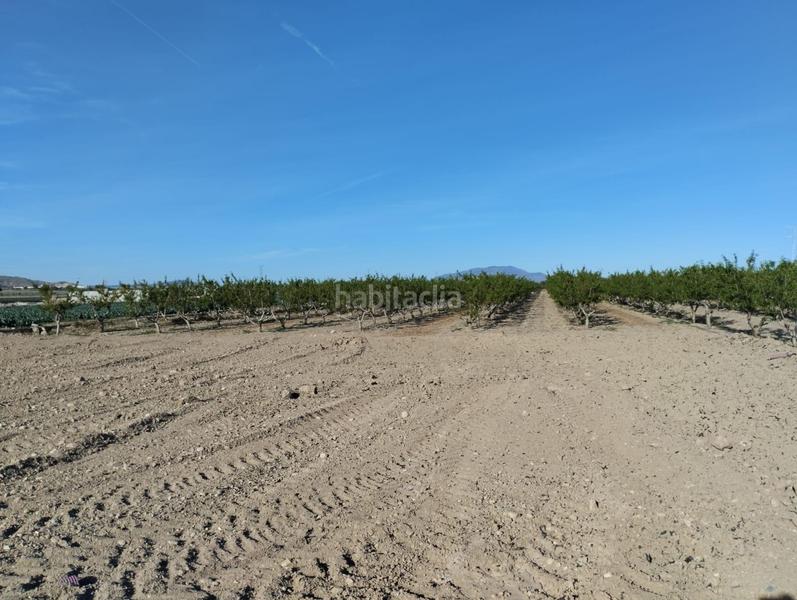 Foto 3e70b115-e9f7-4aa0-83f7-a49a309a911e. Finca rústica terreno agrario en lebor en Totana