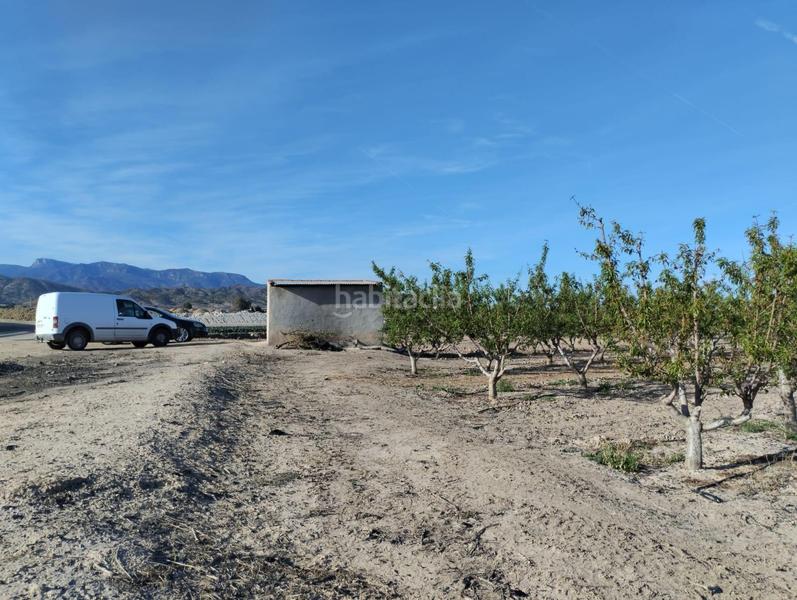 Foto 77c7dba7-83e4-4f60-88df-9d8f2e48e8f4. Finca rústica terreno agrario en lebor en Totana