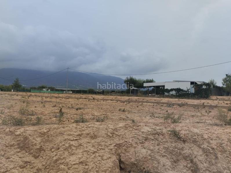 Foto 008fe004-1910-4fca-8714-18136aba97e1. Fondo rustico in Librilla