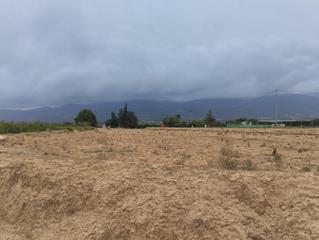 Finca rústica a Librilla. Terreno rustico con uso agrario en librilla